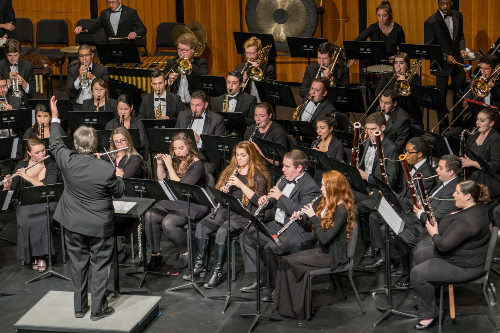 MSU Wind Symphony: Parks and Recreation