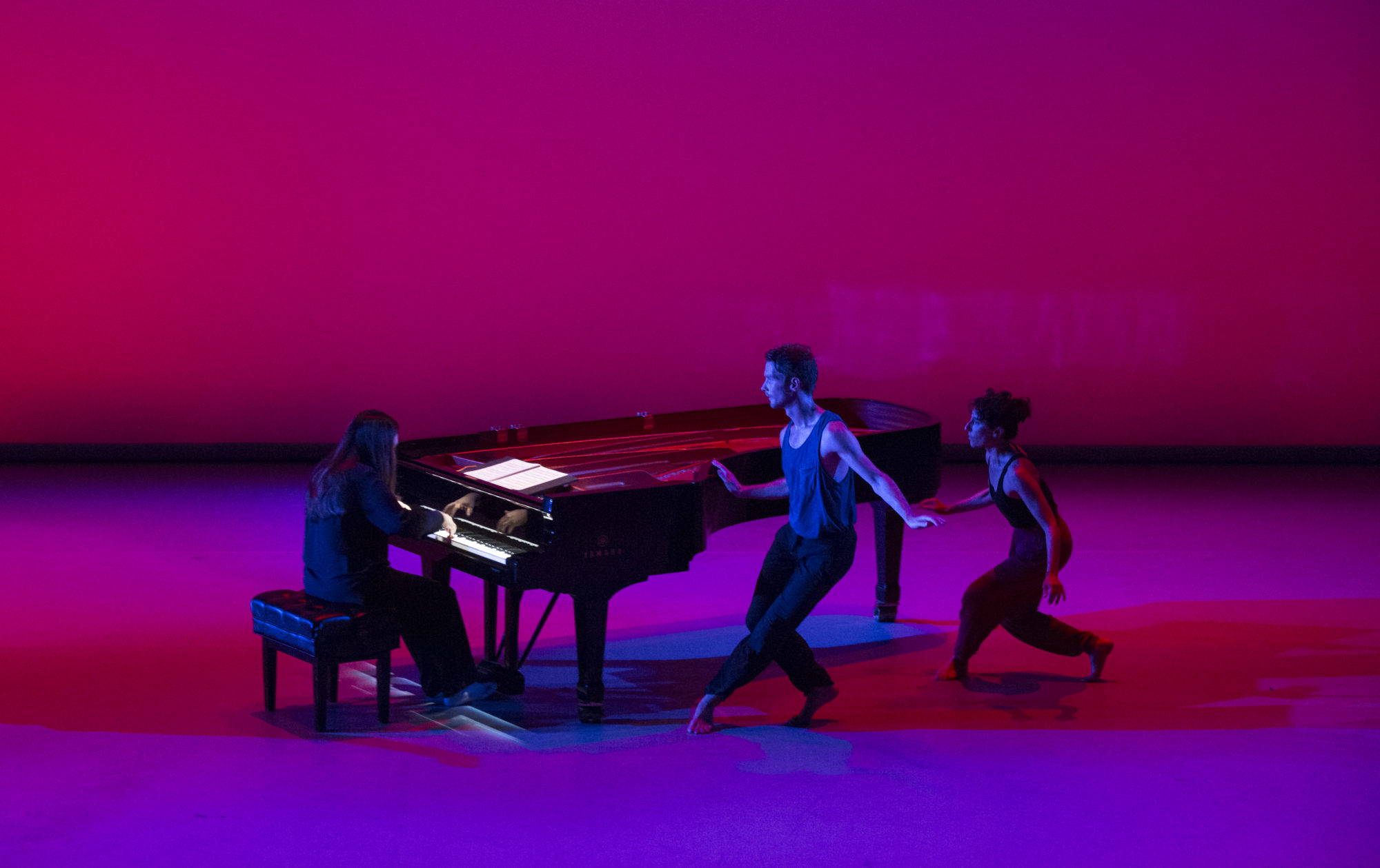 New Work for Goldberg Variations