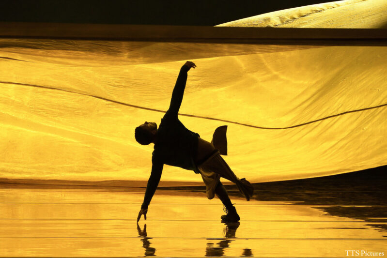 Compagnie Hervé KOUBI: Sol Invictus